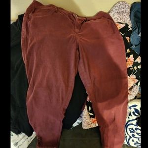Maurices size 20 jeggings